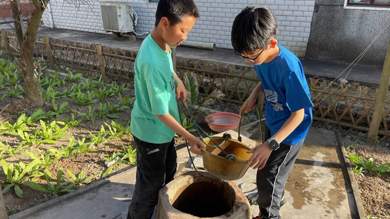 孩子在菜地劳动